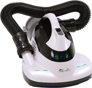 Best Vacuum for Mattress and sofa