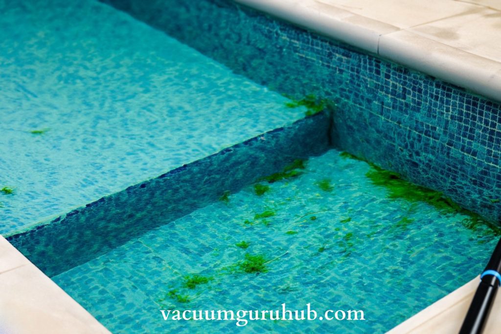 How To Remove Algae From Pool Without A Vacuum