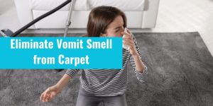 Eliminate Vomit Smell from Carpet