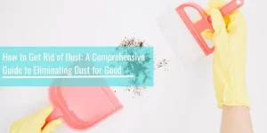 How to Get Rid of Dust
